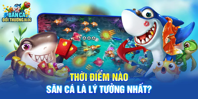 Thời Điểm Nào Săn Cá Là Lý Tưởng Nhất?