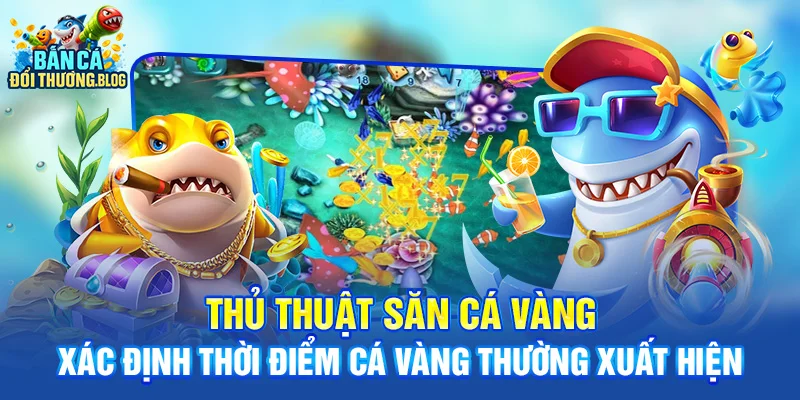 Thủ thuật săn cá vàng - xác định thời điểm cá vàng thường xuất hiện